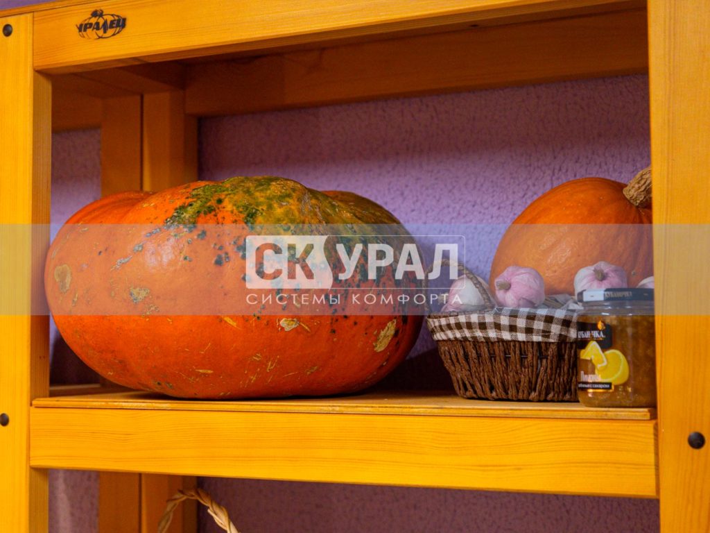 Модульный погреб Уралец-20